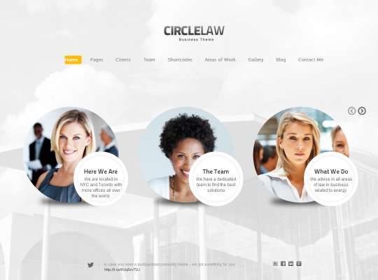 Screenshot of WordPress theme CircleLaw