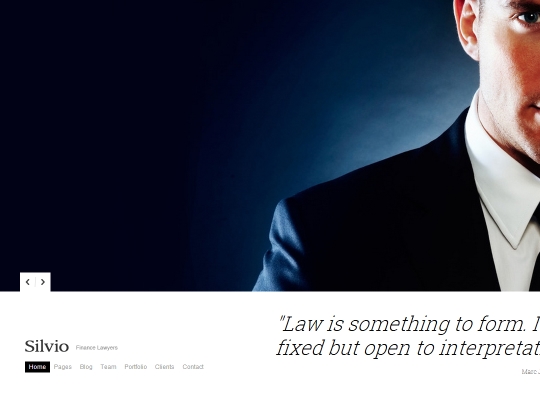 Screenshot of WordPress theme Silvio