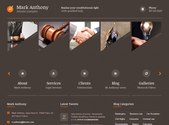 Screenshot of WordPress theme Themis