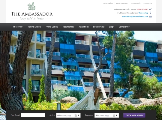 Screenshot of WordPress Theme Ambassador
