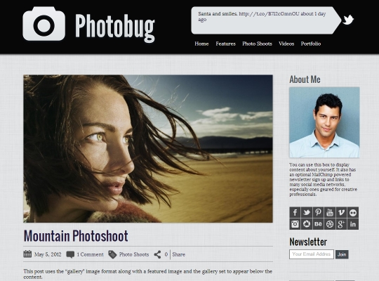 WordPress Theme Screenshot of Photobug